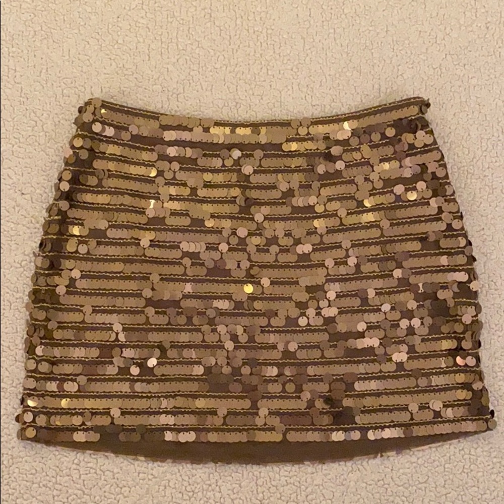 BCBG Skirt